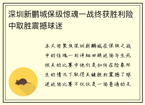 深圳新鹏城保级惊魂一战终获胜利险中取胜震撼球迷 深圳新鹏城保级惊魂一战终获胜利险中取胜震撼球迷